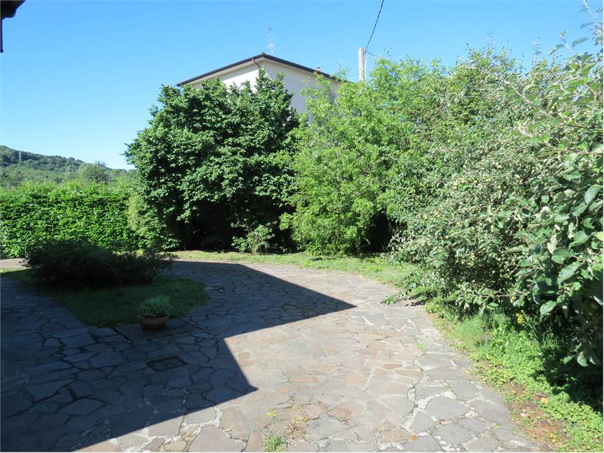 Photo 42