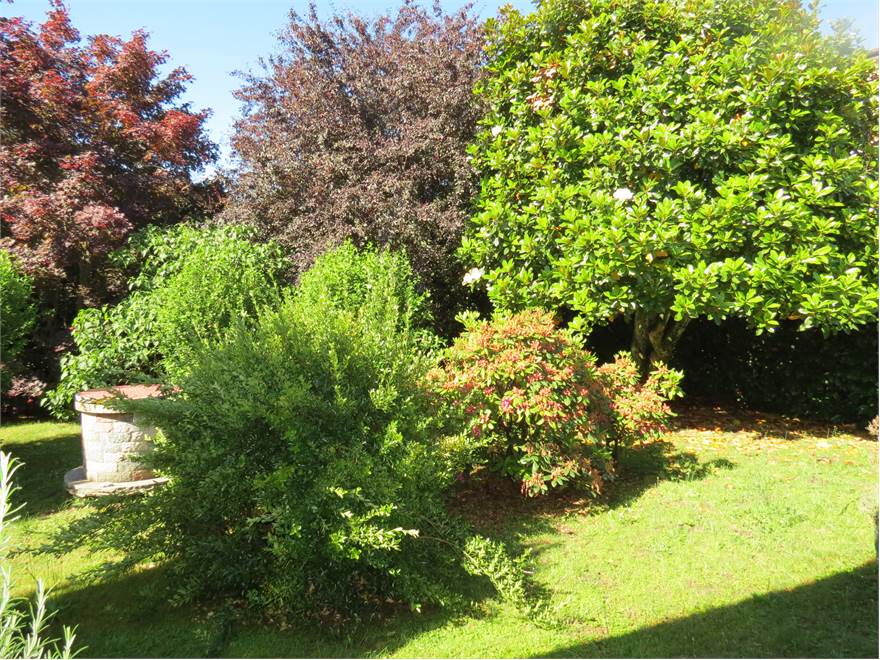 Photo 48